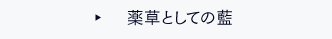 薬草としての藍